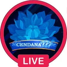cendana777 Terbaru untuk Android: Download APK Gratis
